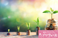 男性の転職と結婚タイミング、春の関係性とは