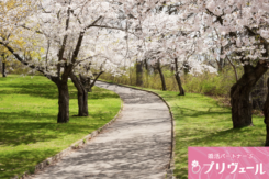 春はなぜ出会いが増える?婚活が動き出す心理的理由