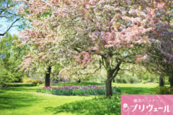 婚活が長引く人ほど春に環境を変えるべき理由