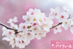 「春は別れの季節」→「夏は再スタートの季節」婚活的転機の捉え方