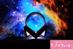 動物占い×婚活!オオカミ男子とペガサス女子の相性の真実