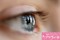 アドラー心理学が婚活に有効になる理由とは